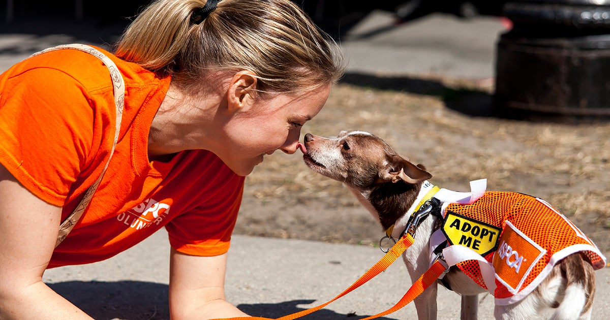 ASPCA
