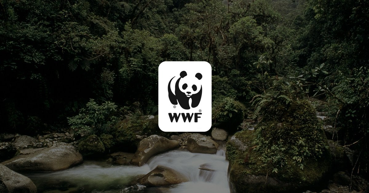 World Wildlife Fund